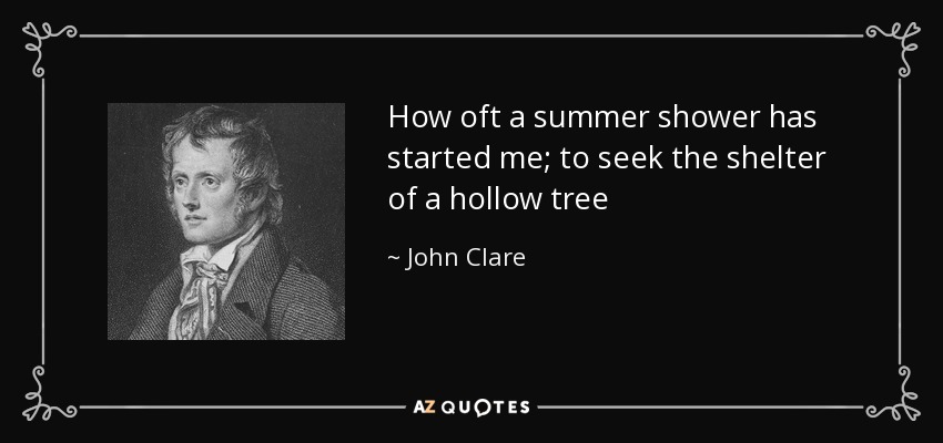 How oft a summer shower has started me; to seek the shelter of a hollow tree - John Clare