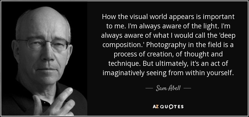 How the visual world appears is important to me. I'm always aware of the light. I'm always aware of what I would call the 'deep composition.' Photography in the field is a process of creation, of thought and technique. But ultimately, it's an act of imaginatively seeing from within yourself. - Sam Abell