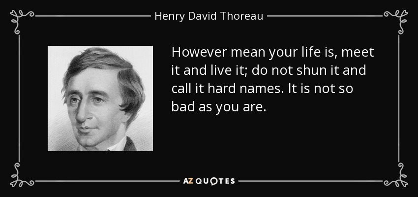 However mean your life is, meet it and live it; do not shun it and call it hard names. It is not so bad as you are. - Henry David Thoreau