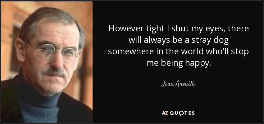 However tight I shut my eyes, there will always be a stray dog somewhere in the world who'll stop me being happy. - Jean Anouilh