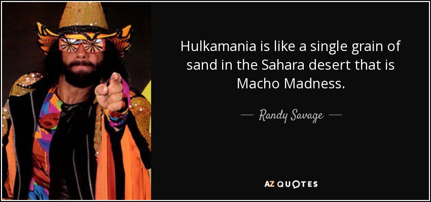 Hulkamania is like a single grain of sand in the Sahara desert that is Macho Madness. - Randy Savage