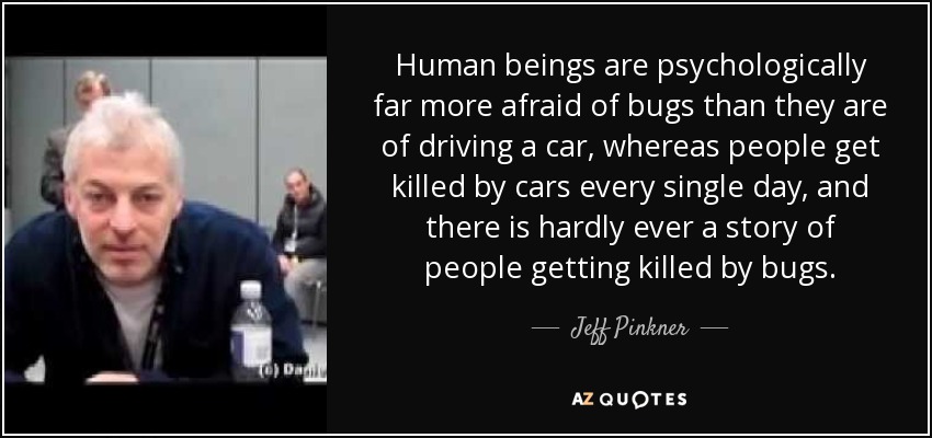 Human beings are psychologically far more afraid of bugs than they are of driving a car, whereas people get killed by cars every single day, and there is hardly ever a story of people getting killed by bugs. - Jeff Pinkner