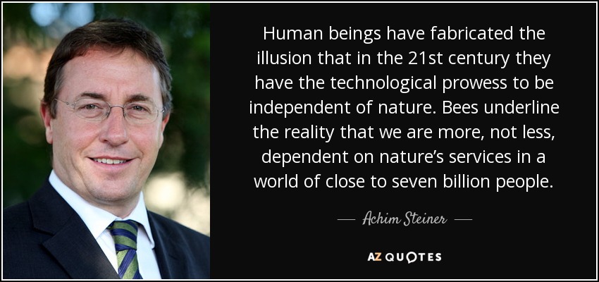 Human beings have fabricated the illusion that in the 21st century they have the technological prowess to be independent of nature. Bees underline the reality that we are more, not less, dependent on nature’s services in a world of close to seven billion people. - Achim Steiner