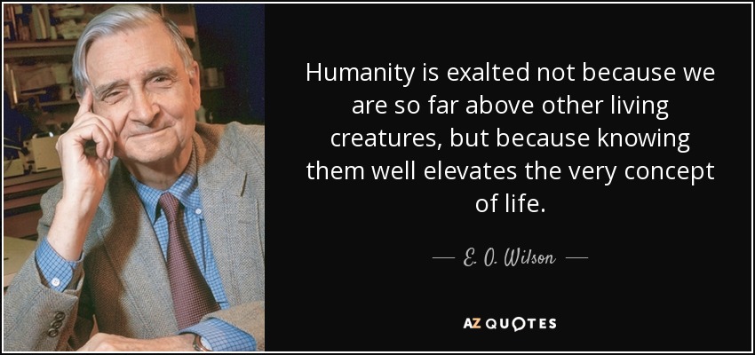 Humanity is exalted not because we are so far above other living creatures, but because knowing them well elevates the very concept of life. - E. O. Wilson