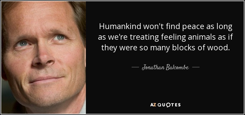 Humankind won't find peace as long as we're treating feeling animals as if they were so many blocks of wood. - Jonathan Balcombe