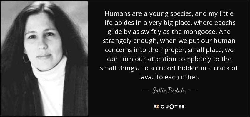 Humans are a young species, and my little life abides in a very big place, where epochs glide by as swiftly as the mongoose. And strangely enough, when we put our human concerns into their proper, small place, we can turn our attention completely to the small things. To a cricket hidden in a crack of lava. To each other. - Sallie Tisdale