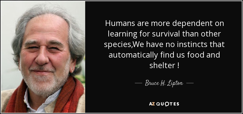 Humans are more dependent on learning for survival than other species,We have no instincts that automatically find us food and shelter ! - Bruce H. Lipton