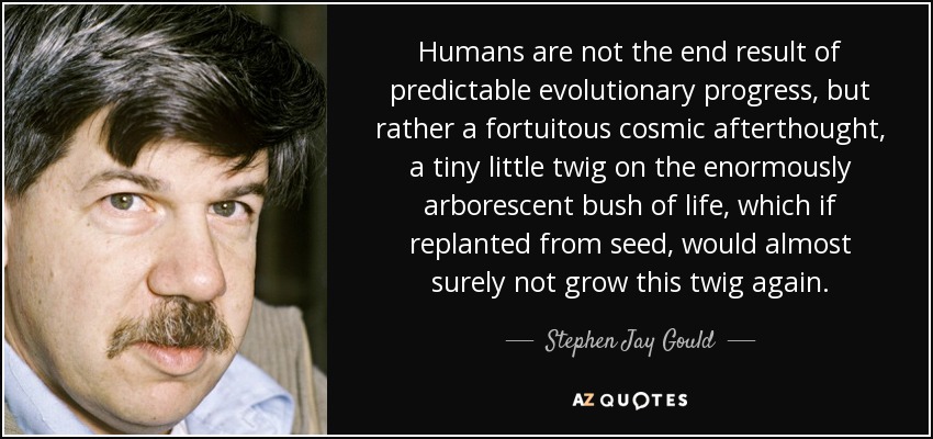 Humans are not the end result of predictable evolutionary progress, but rather a fortuitous cosmic afterthought, a tiny little twig on the enormously arborescent bush of life, which if replanted from seed, would almost surely not grow this twig again. - Stephen Jay Gould