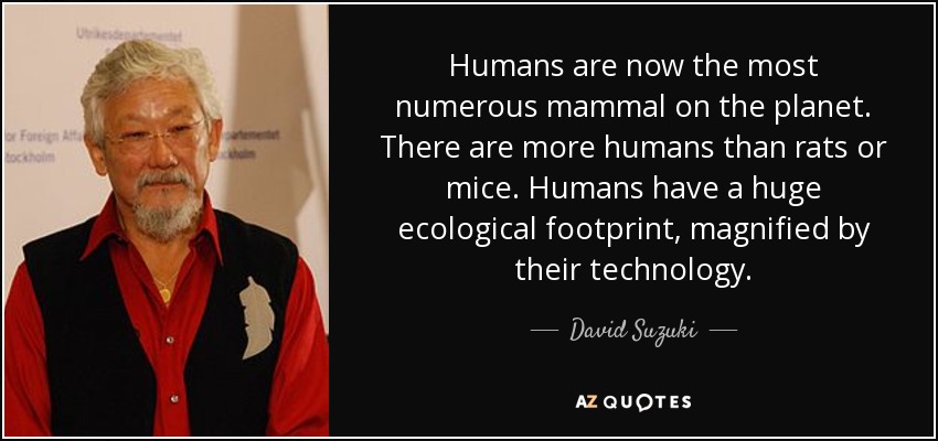 Humans are now the most numerous mammal on the planet. There are more humans than rats or mice. Humans have a huge ecological footprint, magnified by their technology. - David Suzuki