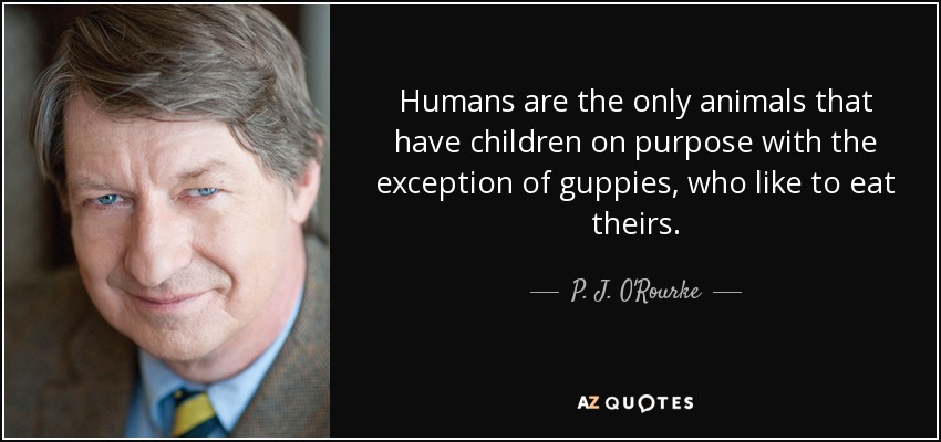 Humans are the only animals that have children on purpose with the exception of guppies, who like to eat theirs. - P. J. O'Rourke