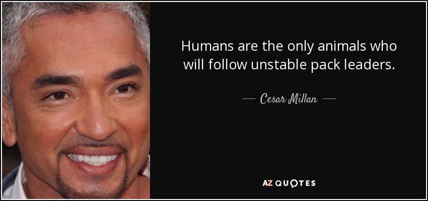 Humans are the only animals who will follow unstable pack leaders. - Cesar Millan