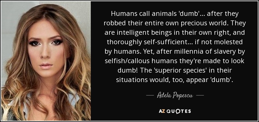 Humans call animals 'dumb'... after they robbed their entire own precious world. They are intelligent beings in their own right, and thoroughly self-sufficient... if not molested by humans. Yet, after millennia of slavery by selfish/callous humans they're made to look dumb! The 'superior species' in their situations would, too, appear 'dumb'. - Adela Popescu