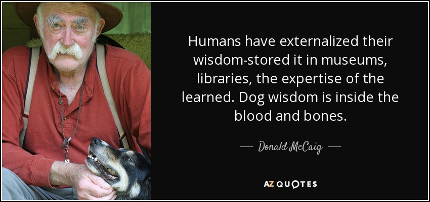 Humans have externalized their wisdom-stored it in museums, libraries, the expertise of the learned. Dog wisdom is inside the blood and bones. - Donald McCaig