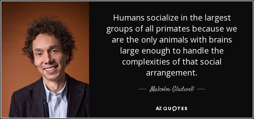 Humans socialize in the largest groups of all primates because we are the only animals with brains large enough to handle the complexities of that social arrangement. - Malcolm Gladwell