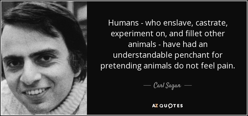 Humans - who enslave, castrate, experiment on, and fillet other animals - have had an understandable penchant for pretending animals do not feel pain. - Carl Sagan