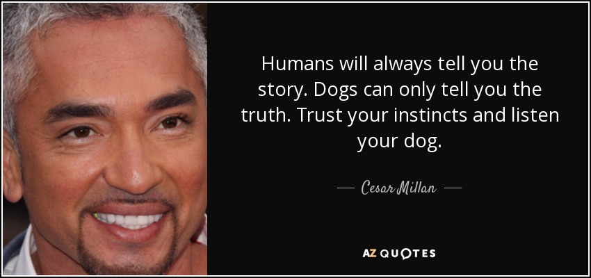 Humans will always tell you the story. Dogs can only tell you the truth. Trust your instincts and listen your dog. - Cesar Millan