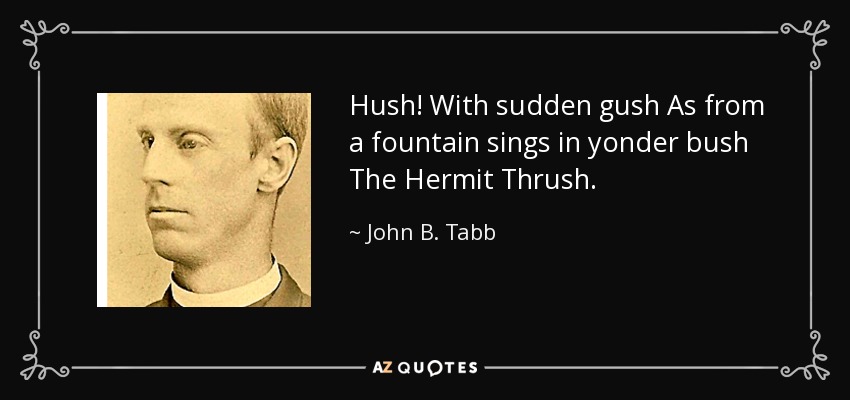 Hush! With sudden gush As from a fountain sings in yonder bush The Hermit Thrush. - John B. Tabb