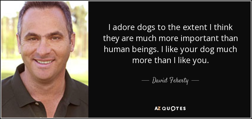 I adore dogs to the extent I think they are much more important than human beings. I like your dog much more than I like you. - David Feherty