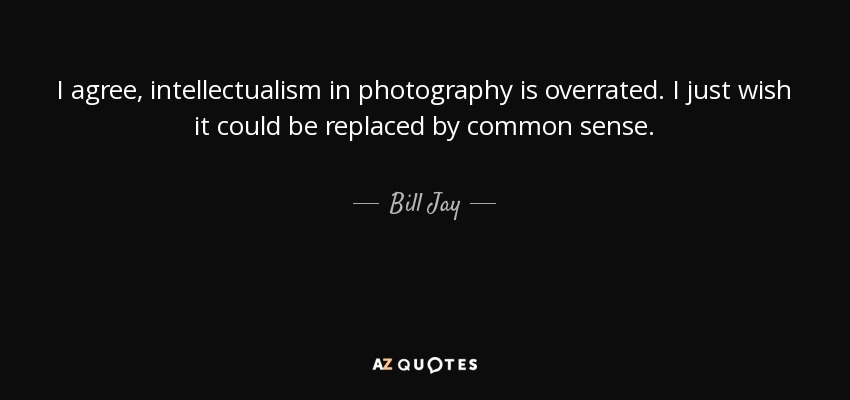 I agree, intellectualism in photography is overrated. I just wish it could be replaced by common sense. - Bill Jay