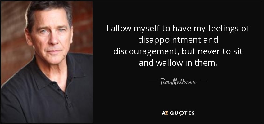 I allow myself to have my feelings of disappointment and discouragement, but never to sit and wallow in them. - Tim Matheson