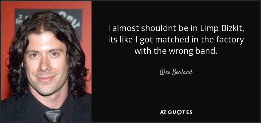 I almost shouldnt be in Limp Bizkit, its like I got matched in the factory with the wrong band. - Wes Borland