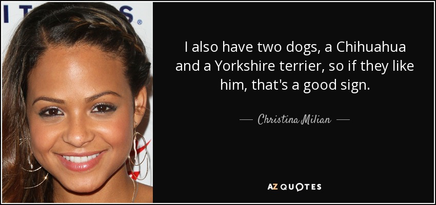 I also have two dogs, a Chihuahua and a Yorkshire terrier, so if they like him, that's a good sign. - Christina Milian