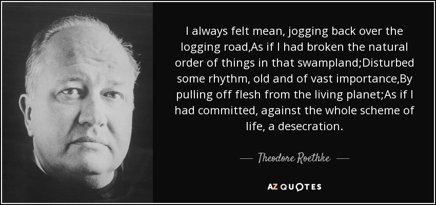 I always felt mean, jogging back over the logging road,As if I had broken the natural order of things in that swampland;Disturbed some rhythm, old and of vast importance,By pulling off flesh from the living planet;As if I had committed, against the whole scheme of life, a desecration. - Theodore Roethke