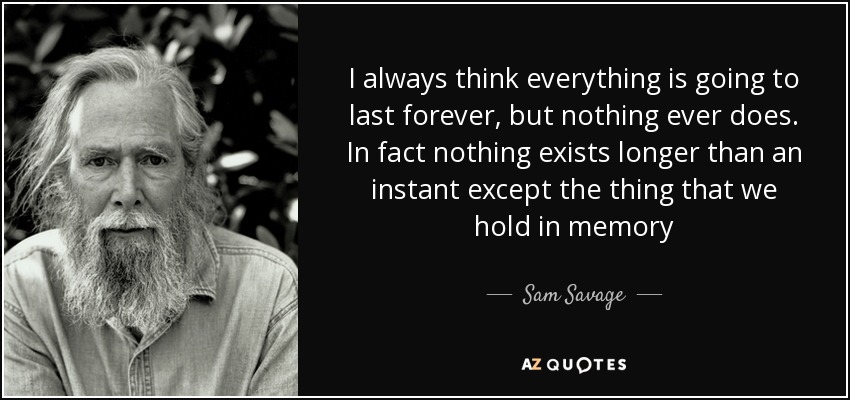 I always think everything is going to last forever, but nothing ever does. In fact nothing exists longer than an instant except the thing that we hold in memory - Sam Savage