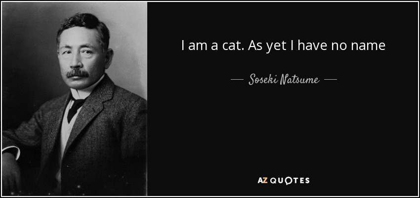 I am a cat. As yet I have no name - Soseki Natsume