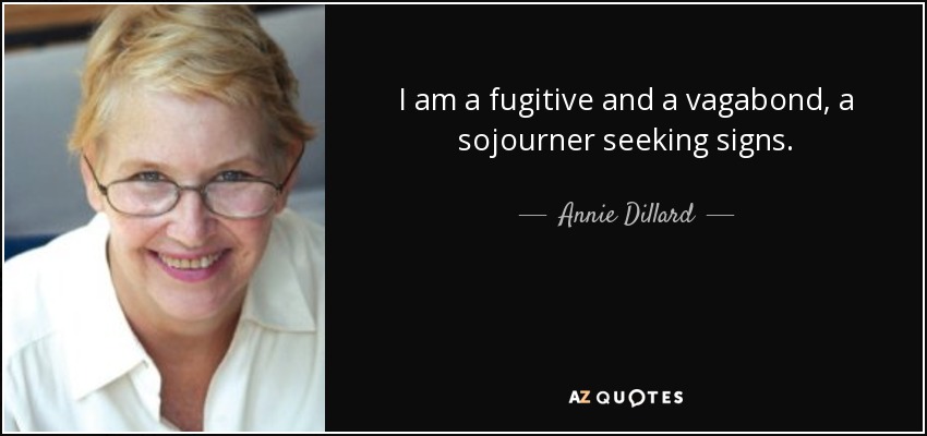 I am a fugitive and a vagabond, a sojourner seeking signs. - Annie Dillard
