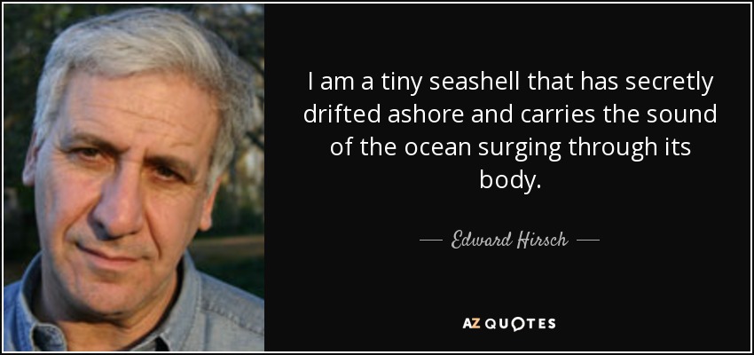I am a tiny seashell that has secretly drifted ashore and carries the sound of the ocean surging through its body. - Edward Hirsch