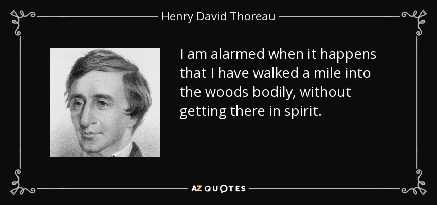 I am alarmed when it happens that I have walked a mile into the woods bodily, without getting there in spirit. - Henry David Thoreau