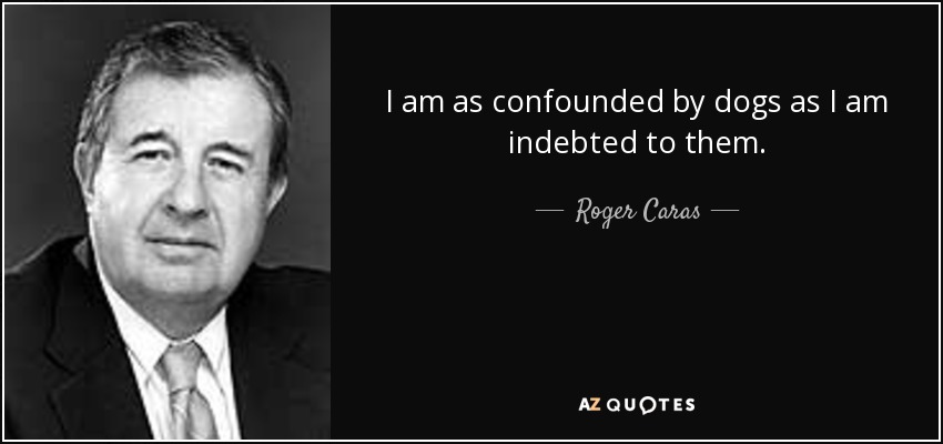 I am as confounded by dogs as I am indebted to them. - Roger Caras