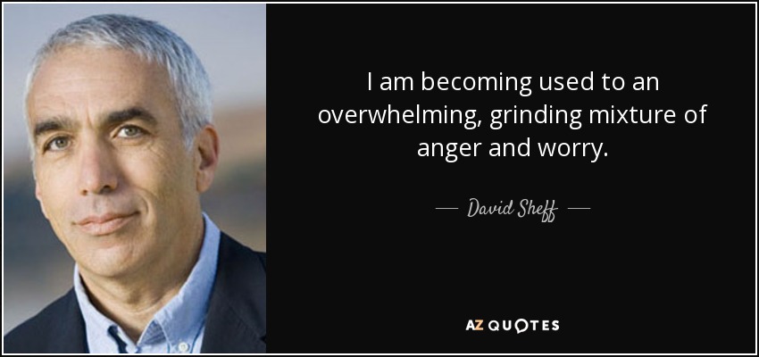 I am becoming used to an overwhelming, grinding mixture of anger and worry. - David Sheff