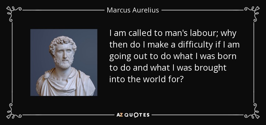 I am called to man's labour; why then do I make a difficulty if I am going out to do what I was born to do and what I was brought into the world for? - Marcus Aurelius