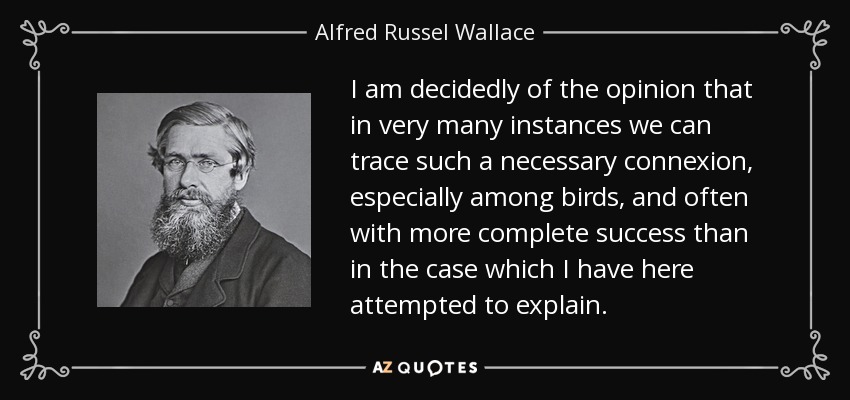 I am decidedly of the opinion that in very many instances we can trace such a necessary connexion, especially among birds, and often with more complete success than in the case which I have here attempted to explain. - Alfred Russel Wallace