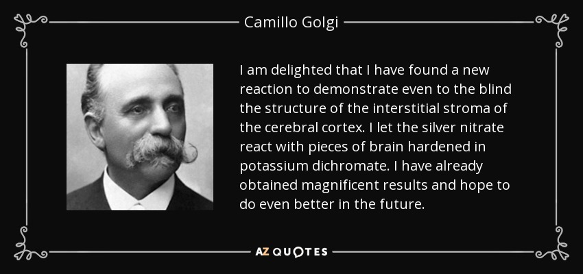 I am delighted that I have found a new reaction to demonstrate even to the blind the structure of the interstitial stroma of the cerebral cortex. I let the silver nitrate react with pieces of brain hardened in potassium dichromate. I have already obtained magnificent results and hope to do even better in the future. - Camillo Golgi
