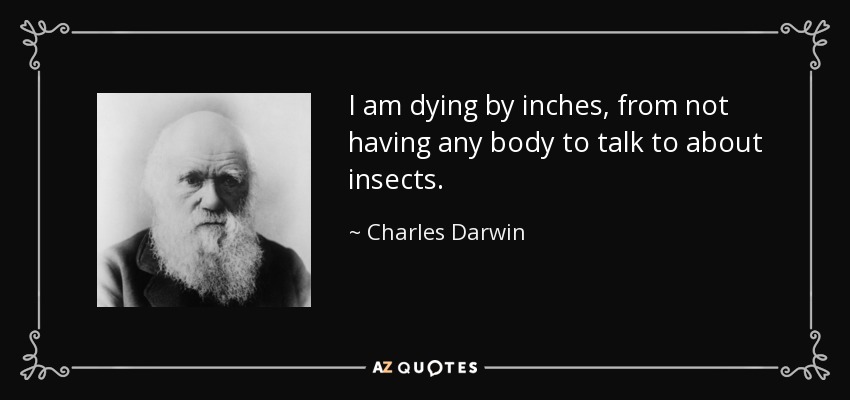 I am dying by inches, from not having any body to talk to about insects. - Charles Darwin