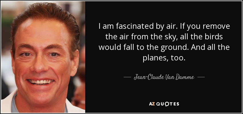 I am fascinated by air. If you remove the air from the sky, all the birds would fall to the ground. And all the planes, too. - Jean-Claude Van Damme