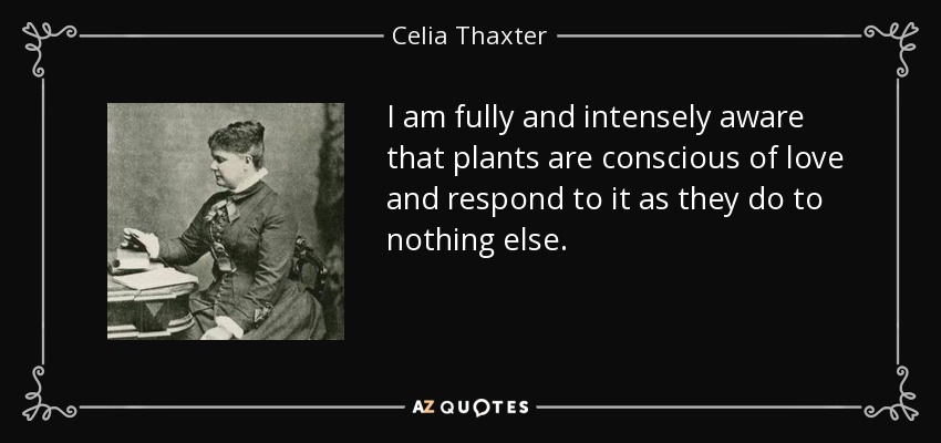 I am fully and intensely aware that plants are conscious of love and respond to it as they do to nothing else. - Celia Thaxter