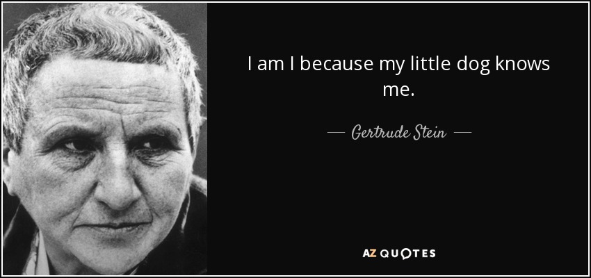 I am I because my little dog knows me. - Gertrude Stein