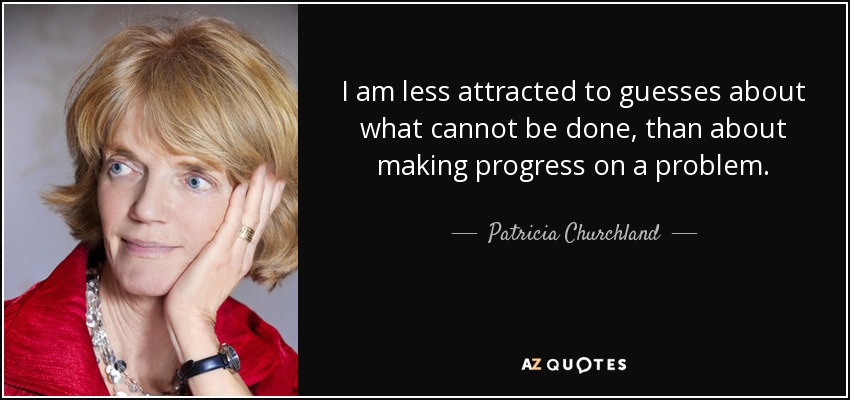 I am less attracted to guesses about what cannot be done, than about making progress on a problem. - Patricia Churchland