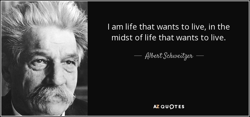 I am life that wants to live, in the midst of life that wants to live. - Albert Schweitzer