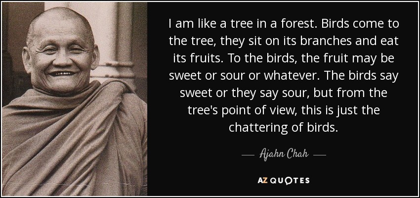 I am like a tree in a forest. Birds come to the tree, they sit on its branches and eat its fruits. To the birds, the fruit may be sweet or sour or whatever. The birds say sweet or they say sour, but from the tree's point of view, this is just the chattering of birds. - Ajahn Chah