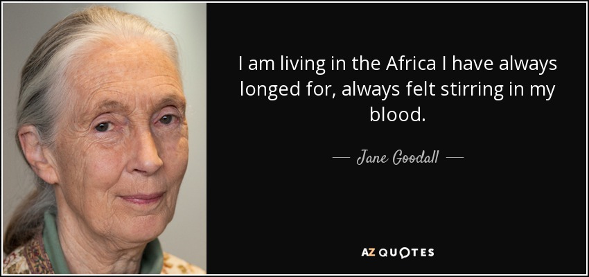 I am living in the Africa I have always longed for, always felt stirring in my blood. - Jane Goodall