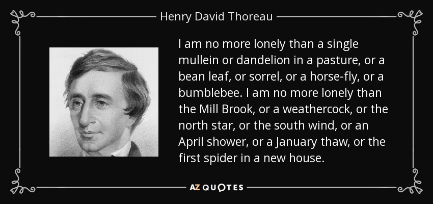 I am no more lonely than a single mullein or dandelion in a pasture, or a bean leaf, or sorrel, or a horse-fly, or a bumblebee. I am no more lonely than the Mill Brook, or a weathercock, or the north star, or the south wind, or an April shower, or a January thaw, or the first spider in a new house. - Henry David Thoreau