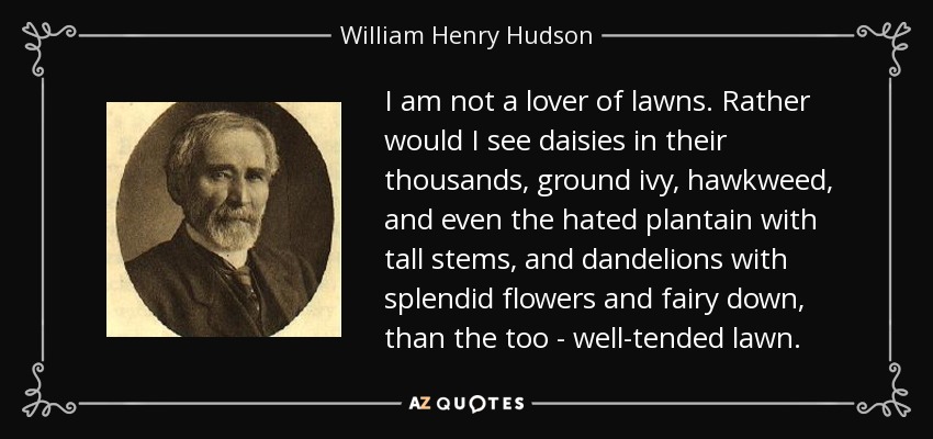 I am not a lover of lawns. Rather would I see daisies in their thousands, ground ivy, hawkweed, and even the hated plantain with tall stems, and dandelions with splendid flowers and fairy down, than the too - well-tended lawn. - William Henry Hudson