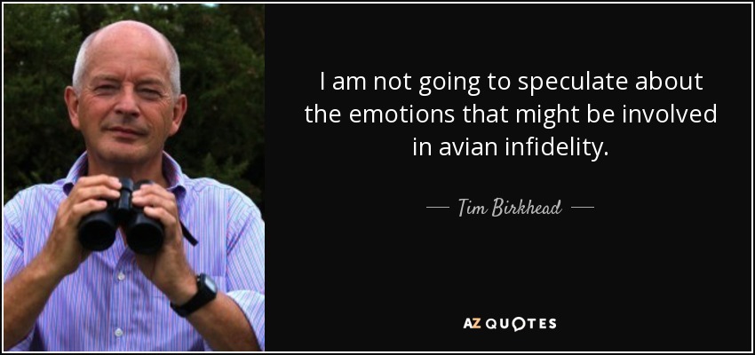 I am not going to speculate about the emotions that might be involved in avian infidelity. - Tim Birkhead