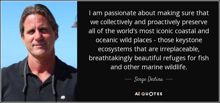 I am passionate about making sure that we collectively and proactively preserve all of the world's most iconic coastal and oceanic wild places - those keystone ecosystems that are irreplaceable, breathtakingly beautiful refuges for fish and other marine wildlife. - Serge Dedina