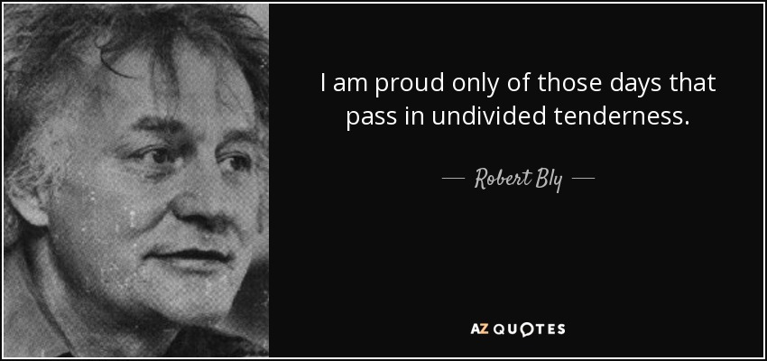 I am proud only of those days that pass in undivided tenderness. - Robert Bly